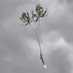 Vein